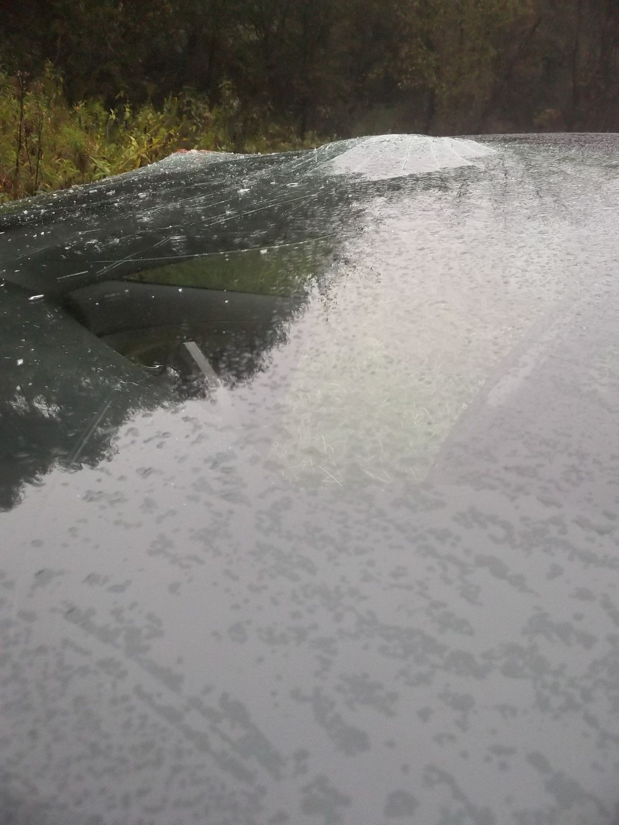 The windshield